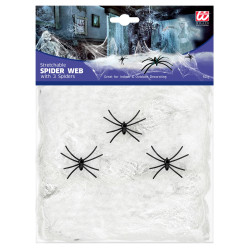 Biela pavučina s pavúkmi